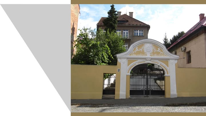 Закарпатська академія мистецтв обрала голову Наглядової ради