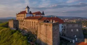 Міжнародний день музеїв на Закарпатті: безкоштовні екскурсії, виставки та майстер-класи