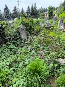 Занедбане кладовище в центрі Ужгорода: проблеми збереження історичної пам’яті