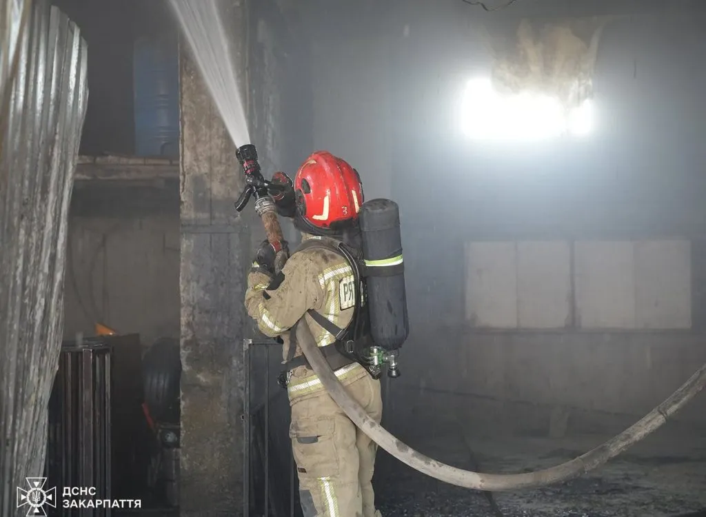 Пожежа у виробничому цеху в селі Минай: подробиці інциденту