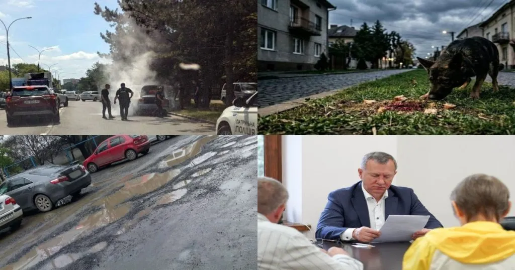 Нейроновини Ужгорода: підсумки тижня (1-7 червня 2026) Нейроновини Ужгорода: підсумки тижня (1-7 червня 2026)