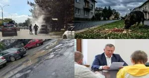 Нейроновини Ужгорода: підсумки тижня (1-7 червня 2026)