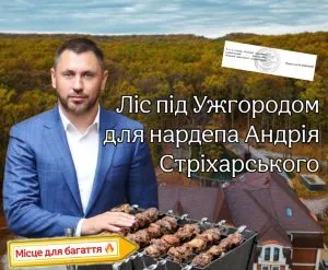 Біля Ужгорода майже 10 гектарів лісу віддали в користування готелю Брістоль за символічну орендну плату