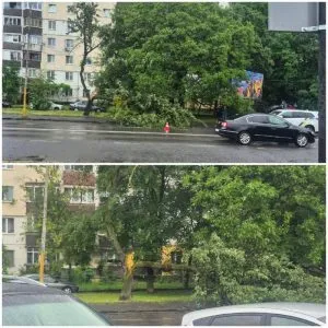 Гілка дерева перегородила тротуар на П’яному базарі