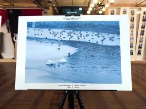 У Закарпатському театрі презентували фотовиставку зимніх пейзажів регіону