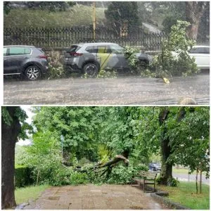 Сильний вітер спричинив руйнування в місті