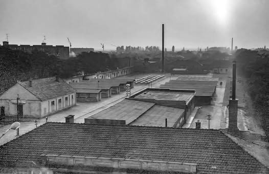 Атмосфера ужгородської торгівлі: віртуальна екскурсія на легендарну барахолку 1960-х років