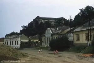 Унікальна історична знахідка: оприлюднено рідкісне фото Ужгорода 1950-х років