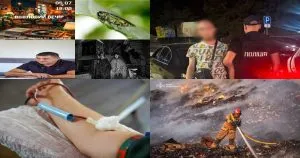 Нейроновини | Підсумки суботнього дня в Ужгороді: від пожежі на сміттєзвалищі до фестивалю для молоді