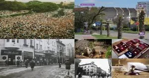 Нейроновини | Підсумки дня в Ужгороді: новини за 12 липня 2026 року