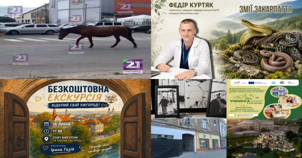Нейроновини та огляд подій в Ужгороді за 24 липня