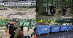 Підсумкові нейроновини Ужгорода: що змінилося у нашому місті за останні 7 днів