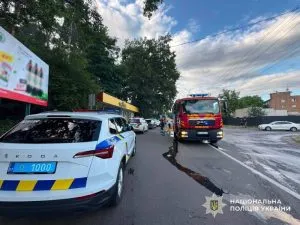 В Ужгороді розшукували озброєного чоловіка після пострілів у лісі