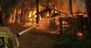 В Ужгороді гасили масштабну пожежу в районі «Шахти» (ФОТО)