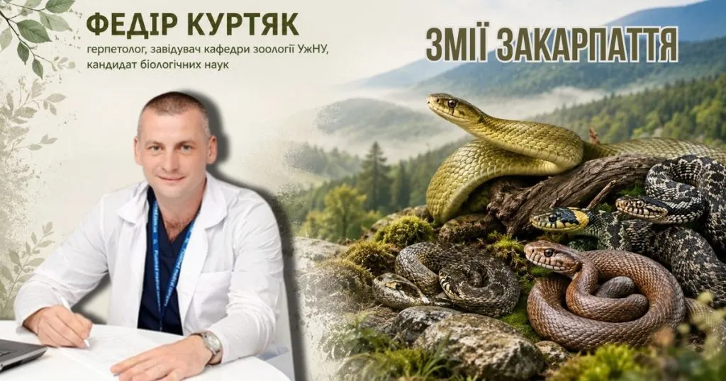 Експерти розповіли про змії Закарпаття: як їх розпізнати та чого боятися Експерти розповіли про змії Закарпаття: як їх розпізнати та чого боятися