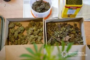В Ужгороді поліція викрила наркодилерів із «професійною» теплицею