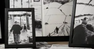 Мистецтво війни та пам’яті: в Ужгороді відкриють виставку Василя Шандри