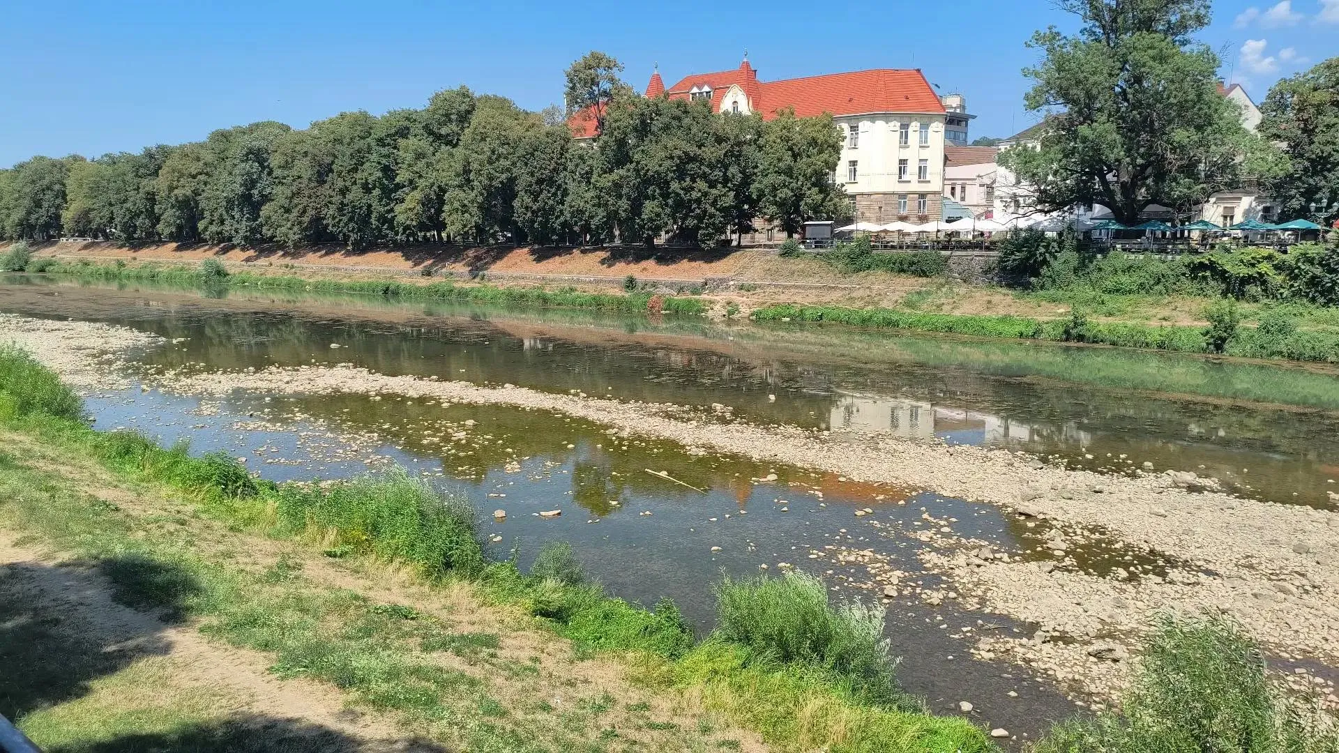 Кліматичні зміни чи діяльність людини: чому обміліла річка Уж та які перспективи Закарпатського водоймища