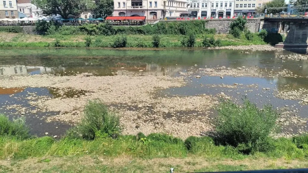 Кліматичні зміни чи діяльність людини: чому обміліла річка Уж та які перспективи Закарпатського водоймища