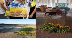 Нейроновини Ужгорода: підсумки 29 серпня