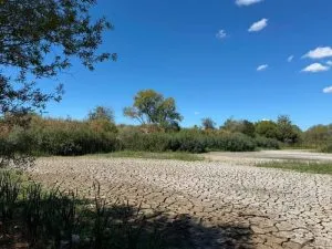 Екологічна тривога: одна з водойм Чорних озер в Ужгороді повністю висохла