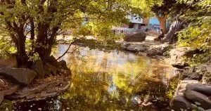 Культурний десант у Закарпатті: що цікавого відбудеться в Ужгороді у вересні