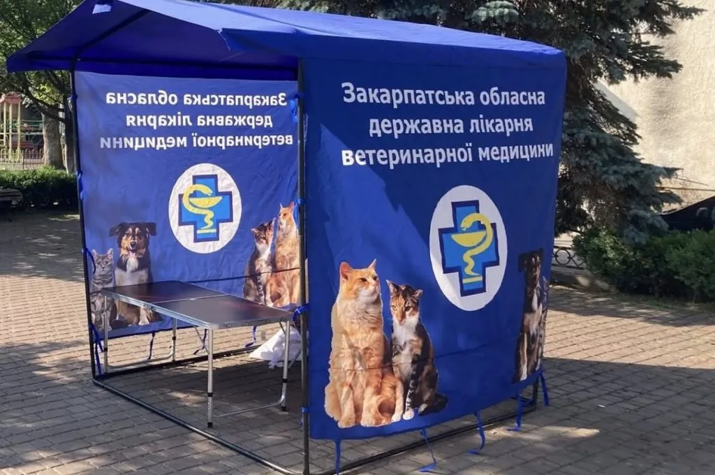 У Закарпатті організували безкоштовну вакцинацію тварин проти сказу