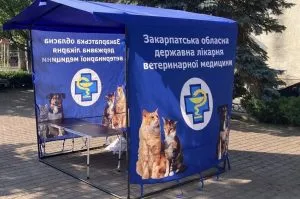 У Закарпатті організували безкоштовну вакцинацію тварин проти сказу