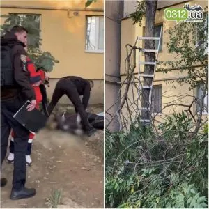 Трагедія в Ужгороді: чоловік загинув під час обрізки дерев