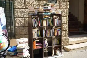 Книжки замість квітів: в Ужгородському ліцеї ім. Т.Г. Шевченка відзначили День знань акцією на підтримку культури