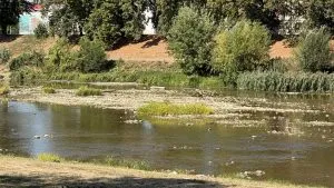Ужгородський водоканал спростував чутки про графіки відключення води