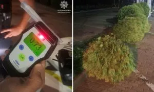 П’яний водій Audi без прав спричинив ДТП в Ужгороді